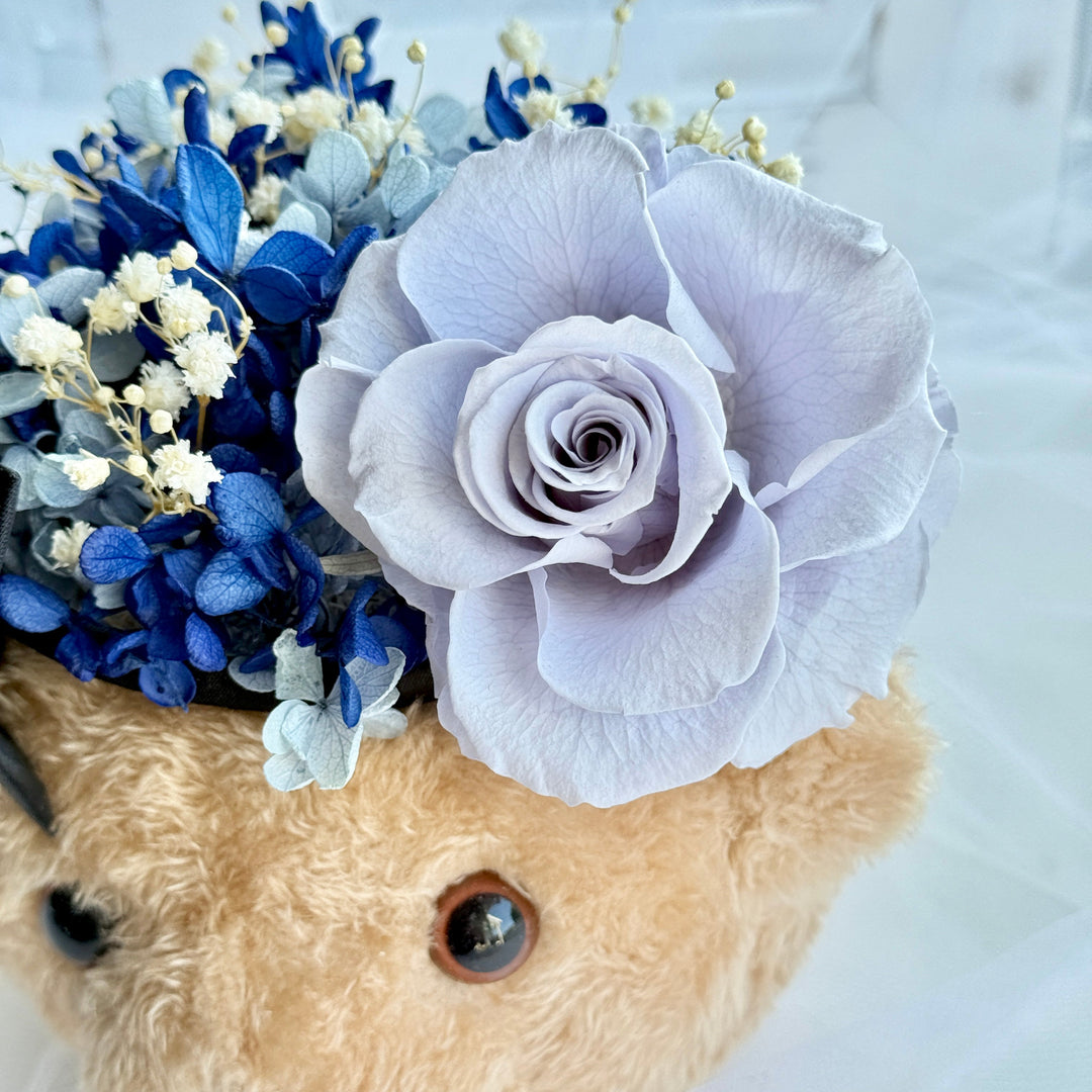 Teddy Bloom Duo – Preserved Flower Plush Arrangement