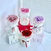 Melia Preserved Rose Gift 