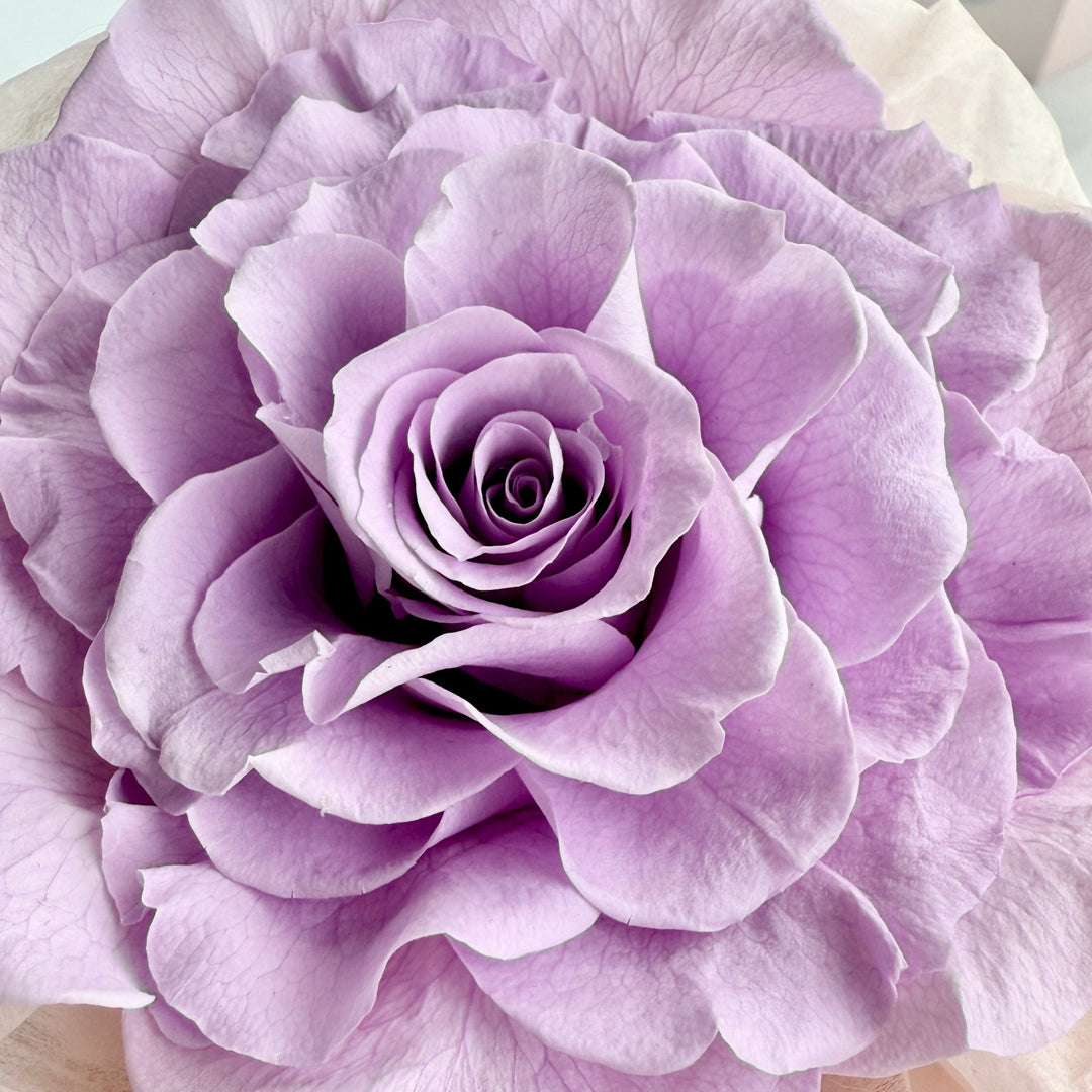 Melia Preserved Rose Gift – Four Color Edition