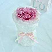 Melia Preserved Rose Gift – Four Color Edition