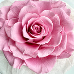 Load image into Gallery viewer, Melia Preserved Rose Gift – Four Color Edition