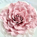 Load image into Gallery viewer, Melia Preserved Rose Gift – Four Color Edition