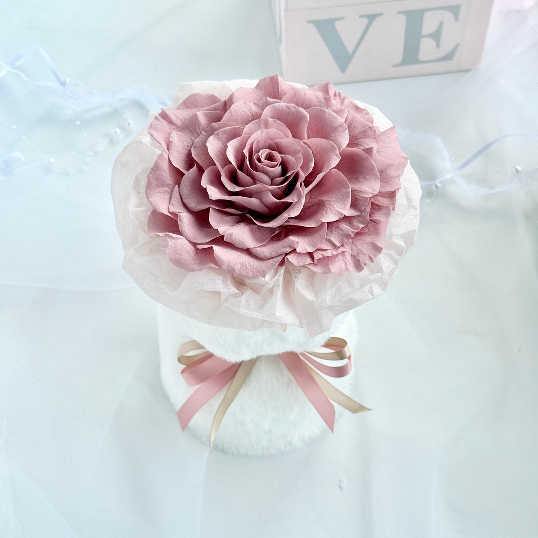 Melia Preserved Rose Gift – Four Color Edition