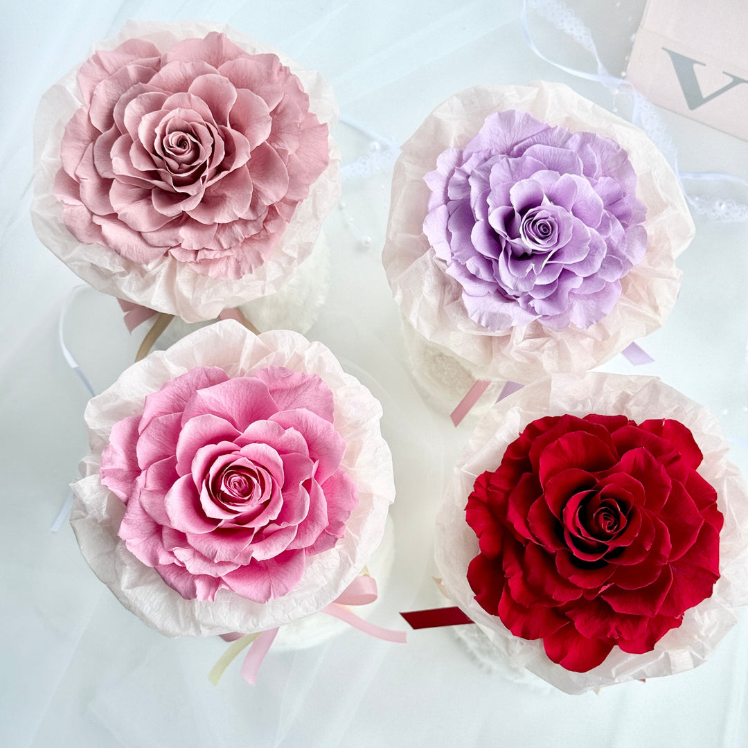 Melia Preserved Rose Gift – Four Color Edition