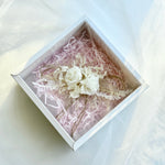 Load image into Gallery viewer, Boho Ivory – Preserved Flower Wrist Corsage